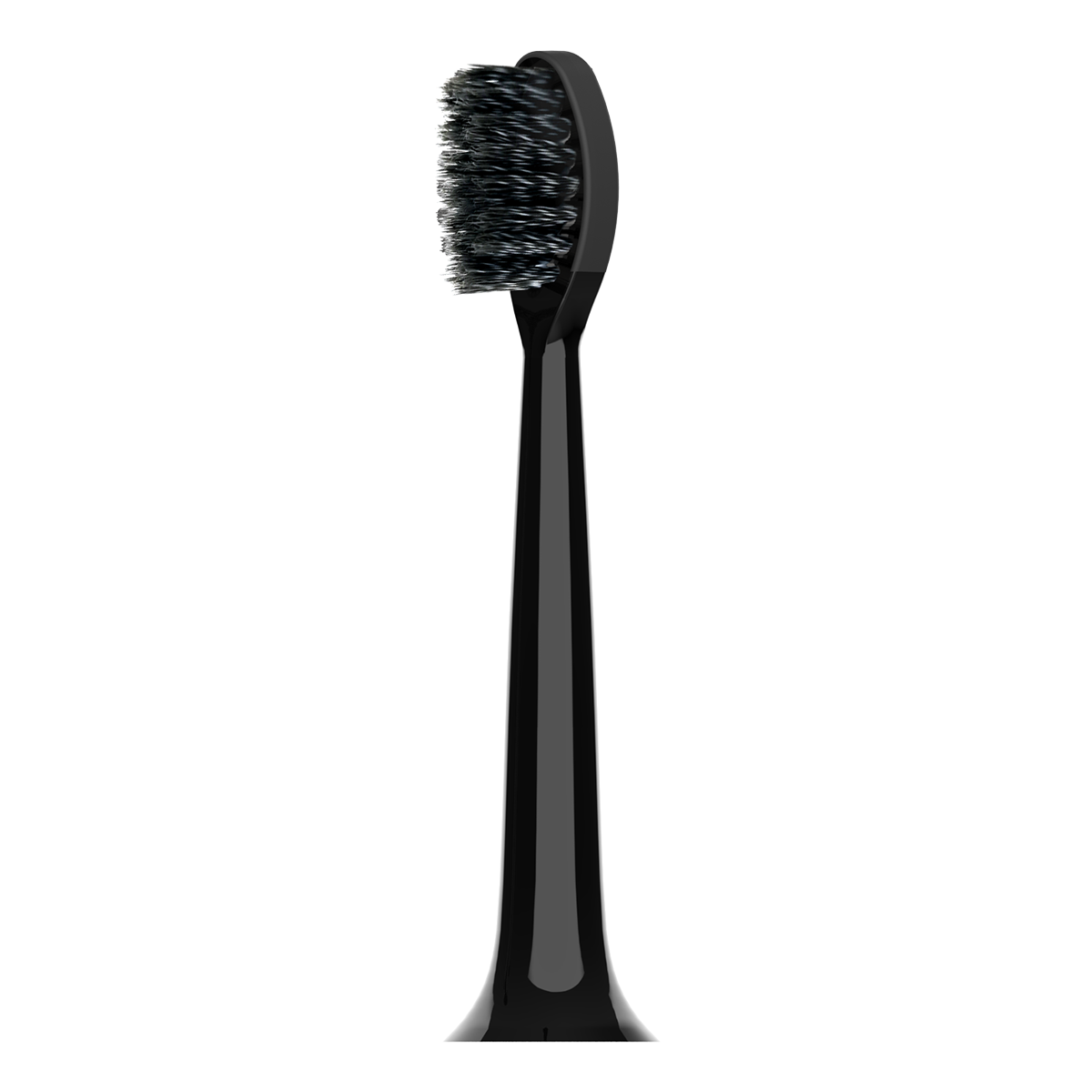 Accessories- Replacement Brush Heads