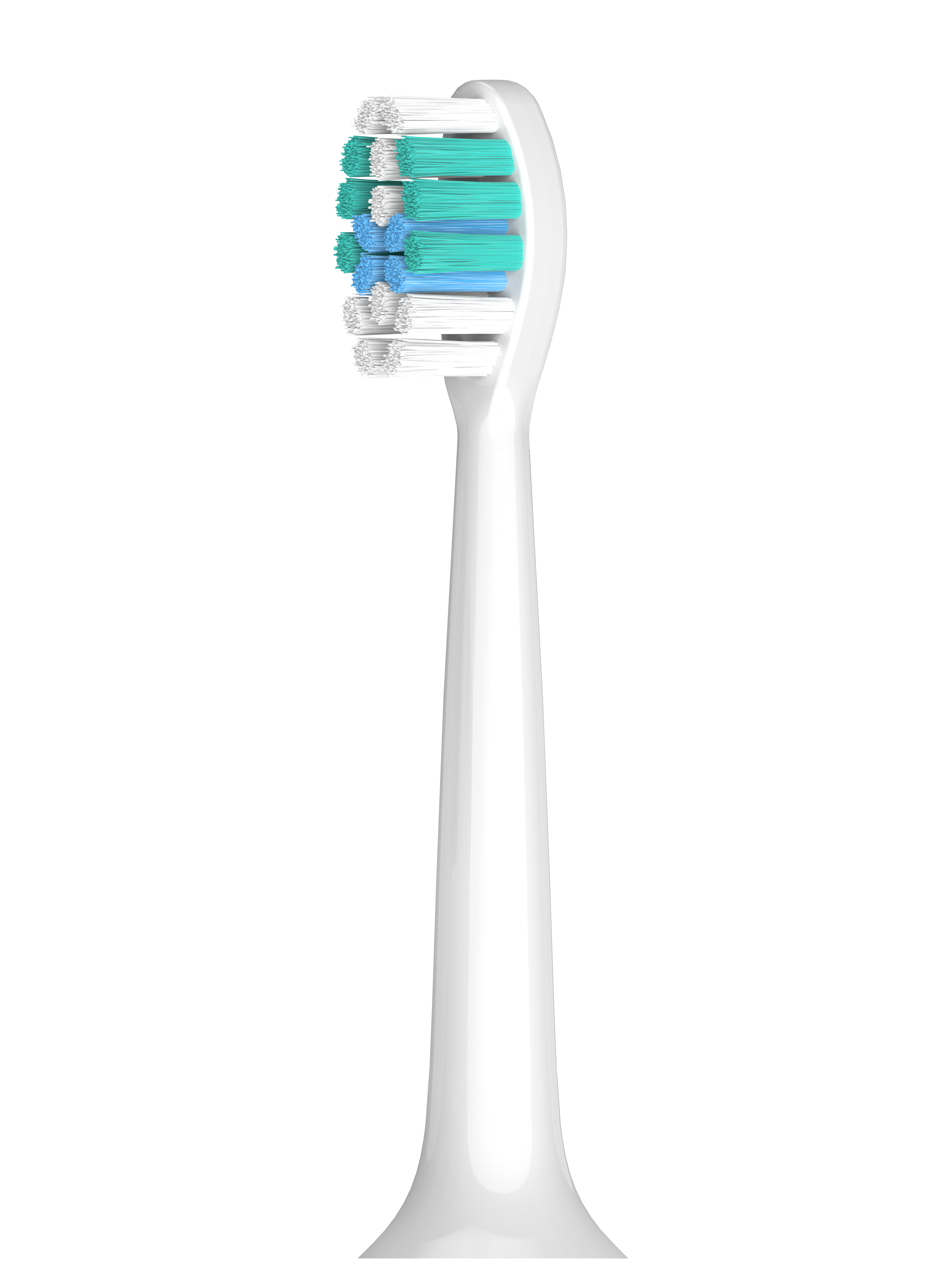 Accessories- Replacement Brush Heads